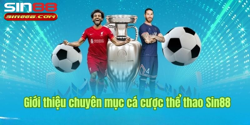 Sảnh IM cực phổ biến